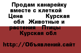 Продам канарейку вместе с клеткой  › Цена ­ 1 000 - Курская обл. Животные и растения » Птицы   . Курская обл.